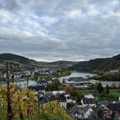 img-3