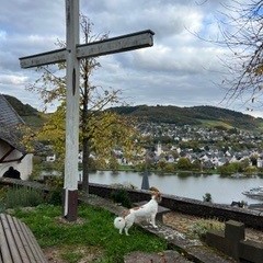 img-5
