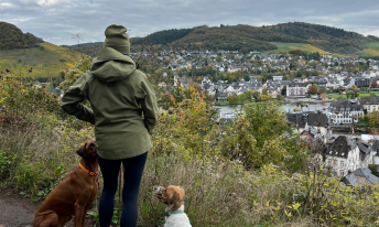 Gallery image mobile 3