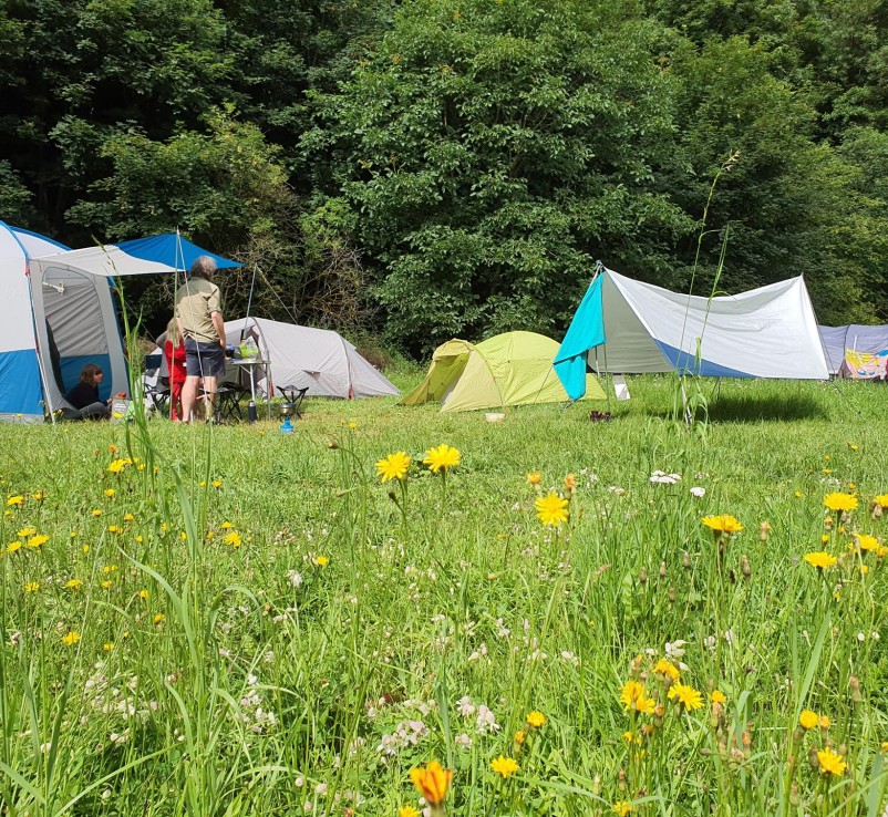 Kultur-Camping mit dem Wohnmobil. Moseltal