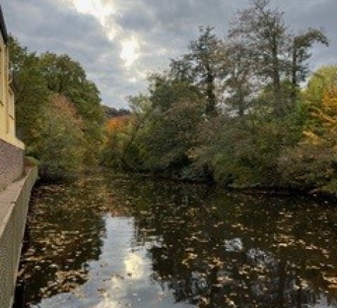 Gallery image 6